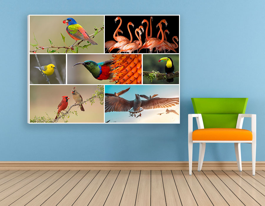 Collage Canvas Printing Dubai